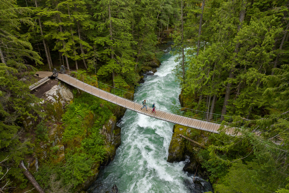 Two people walking across a wooden bridge in the forest over a river