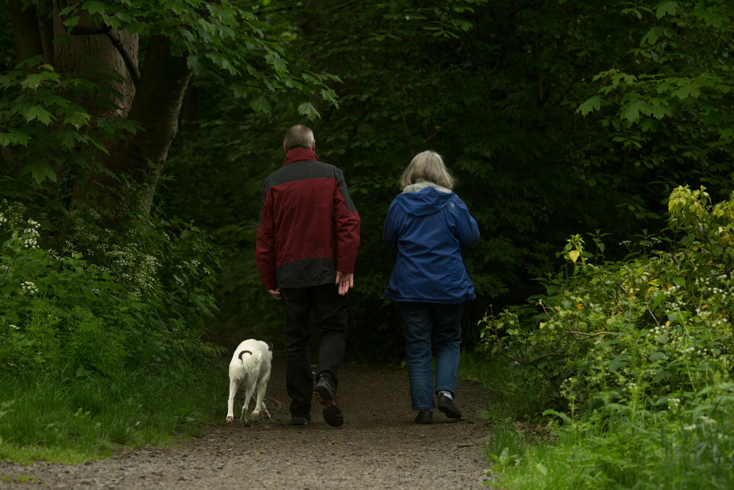 Retired couple walking with their dog along a wooded cotswolds path, symbolising peace of mind and the benefits of thoughtful retirement planning.