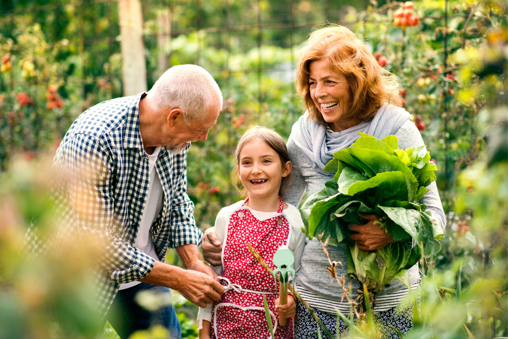 Grandparents gardening