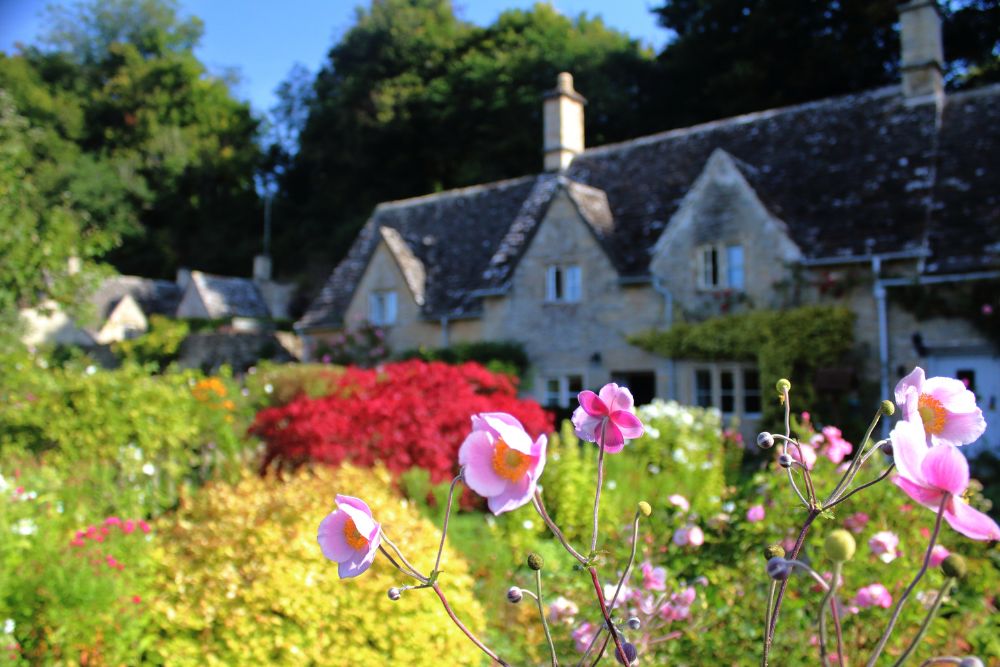 A cotswolds garden