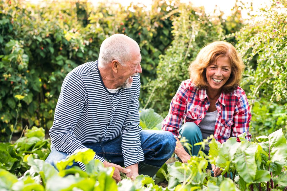 Retired couple gardening